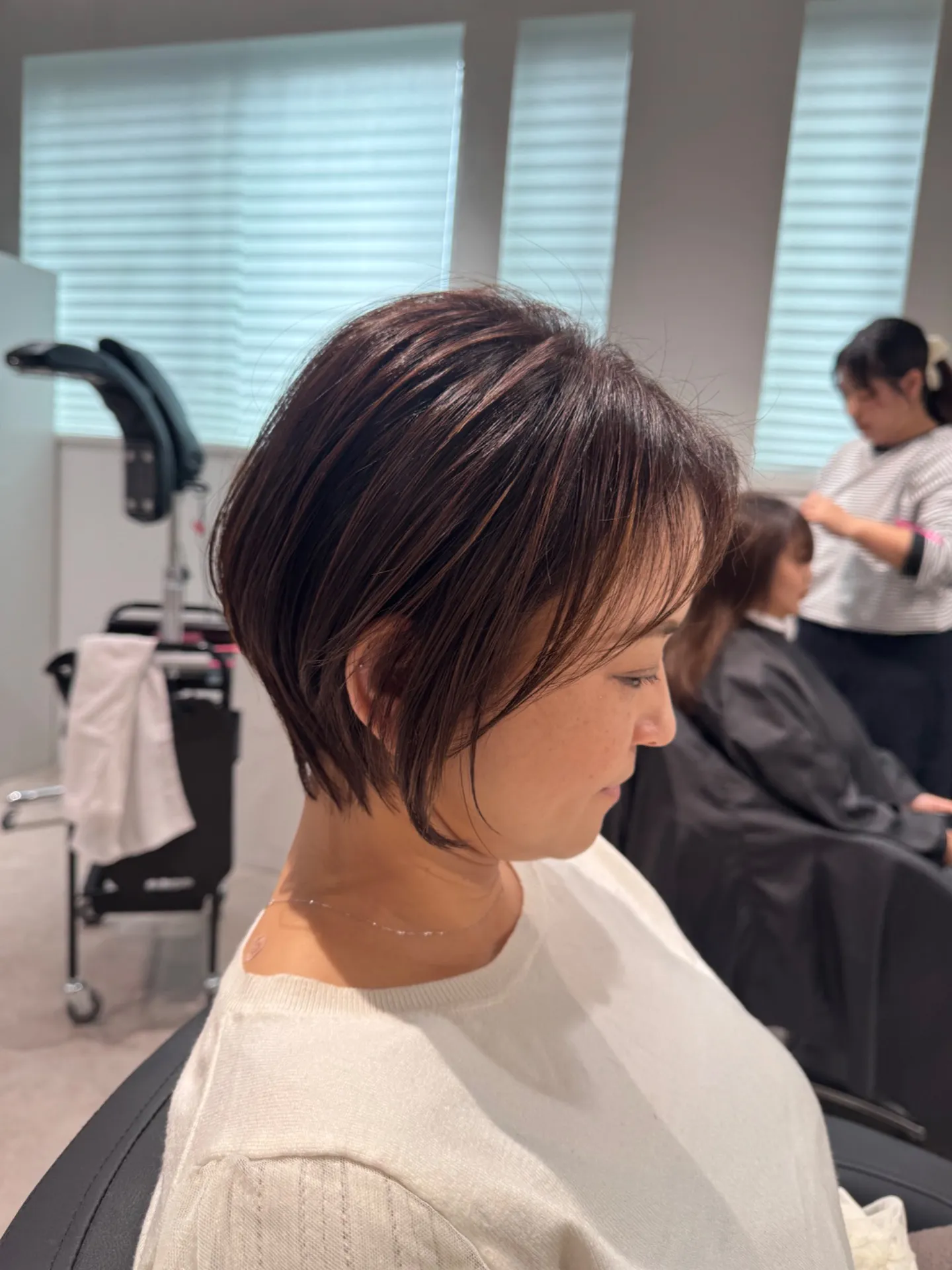 白髪ぼかしとブリーチなしの選択で自然な白髪ぼかしと少ないダメージを両立するコツ